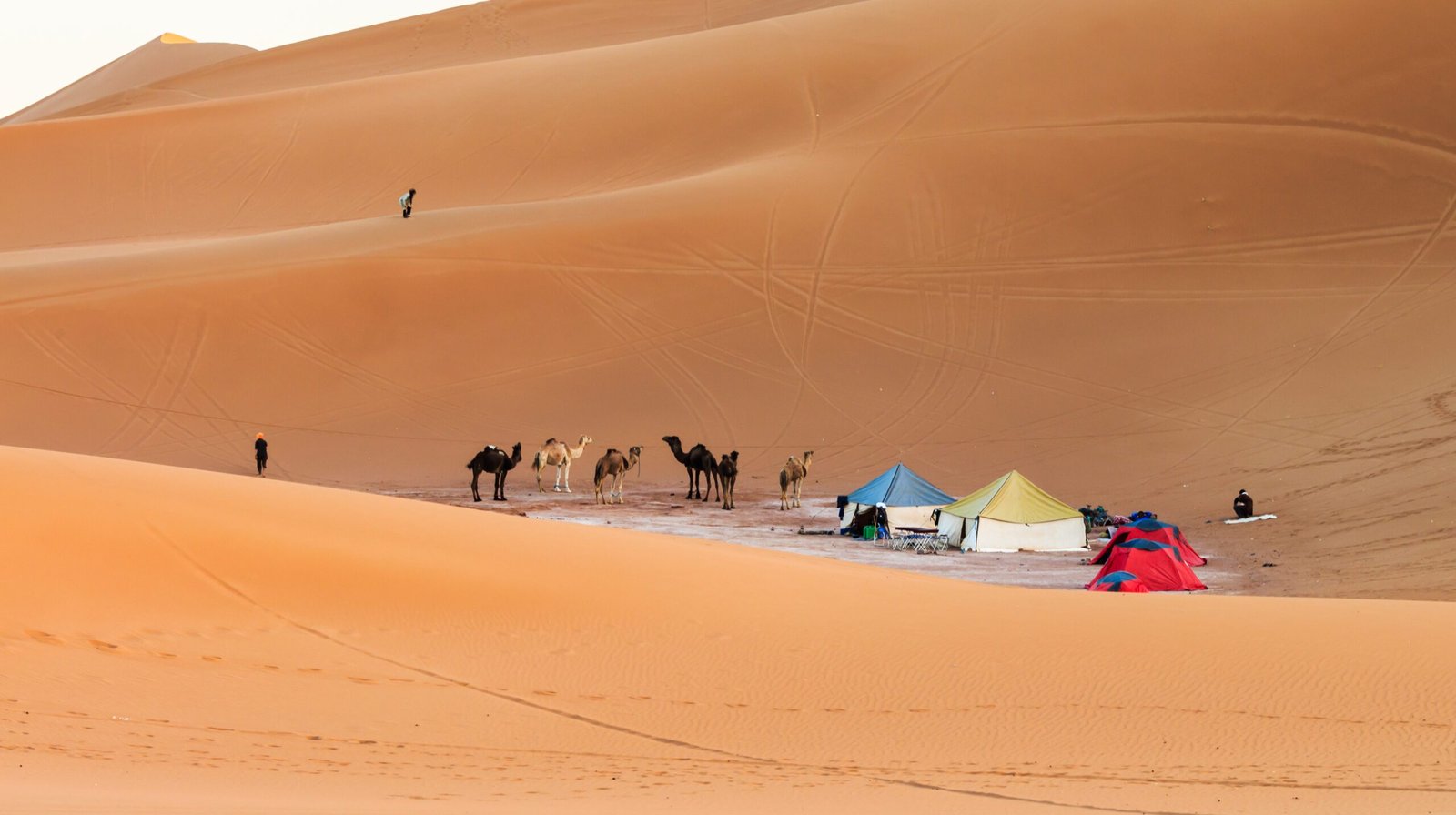 Camp in sahara desert, morocco